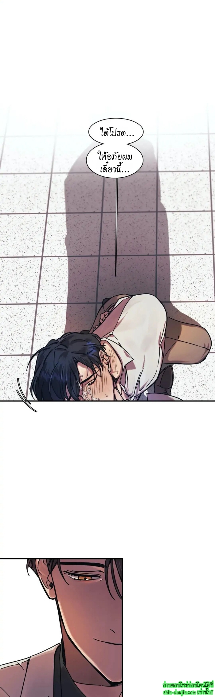 The third perspective EP 11